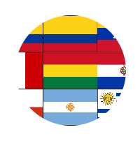 Circle image of the flag